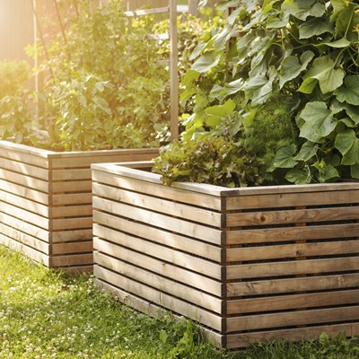 Raised bed and allotment soil mix