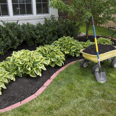 Compost
