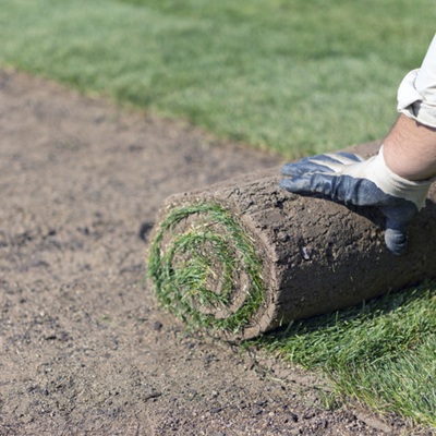 lawn-construction