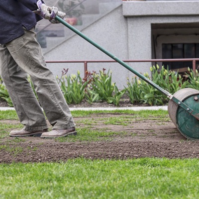 lawn-maintenance